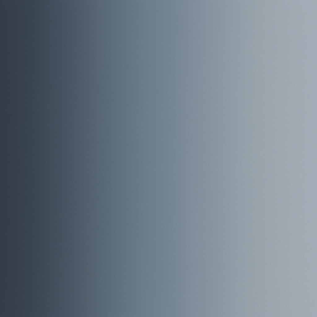 Vertical gradient transitioning from dark gray on the left to light gray-blue on the right